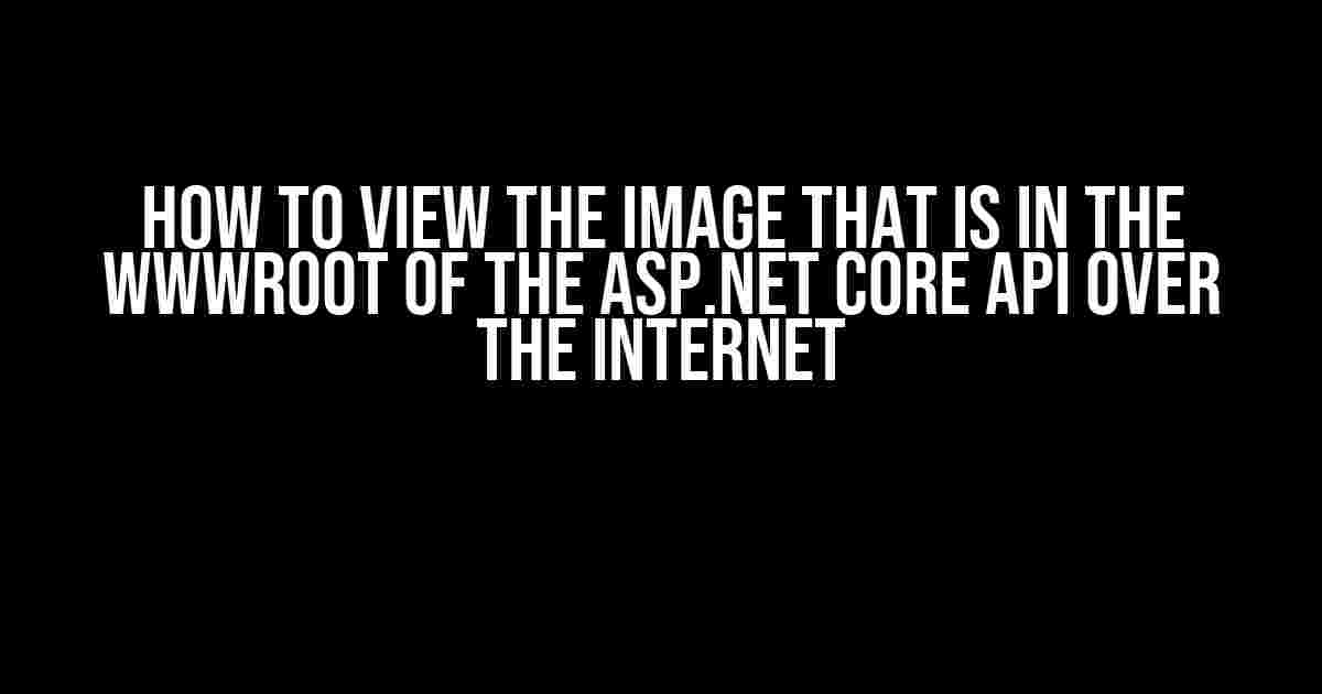 How to View the Image that is in the wwwroot of the ASP.NET Core API over the Internet